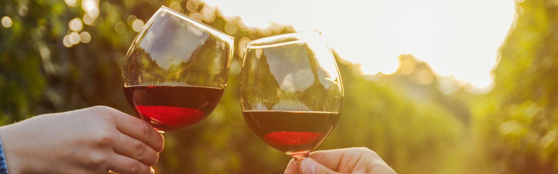 Our Winery Partners